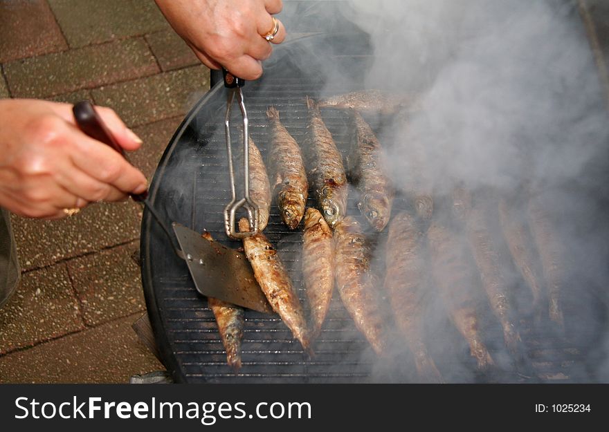 Summer Food - Snapper Fish. Summer Food - Snapper Fish