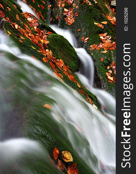 Autumn stream in Giant mountains in Czech republic