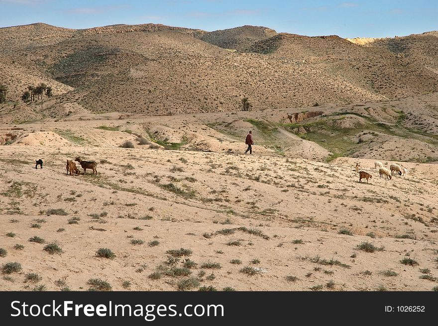 Matmata (South Tunisia)