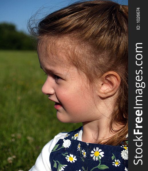 A little girl profile in a field. A little girl profile in a field.