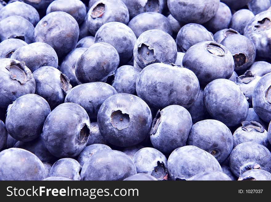 Freshly picked blue berries in closeup. Freshly picked blue berries in closeup.