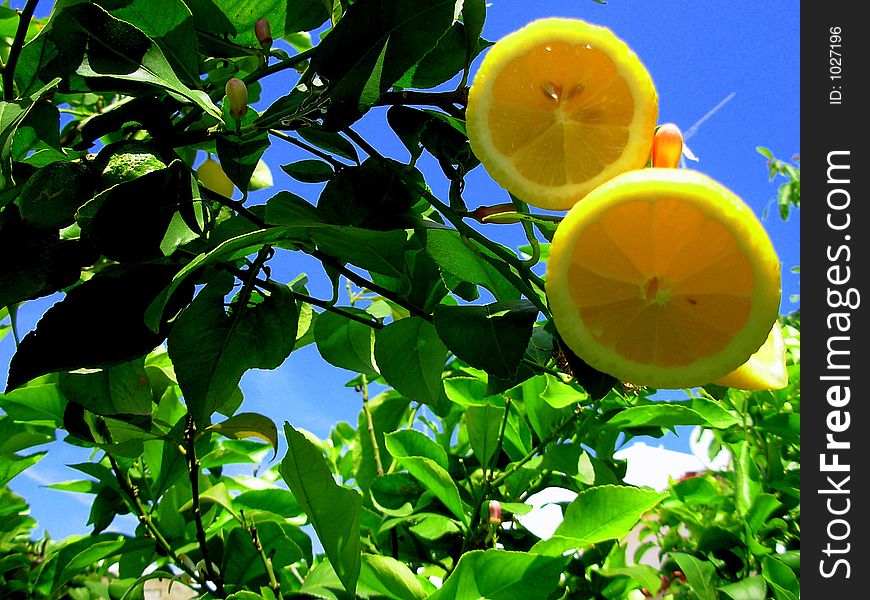 Lemon Lemonade II