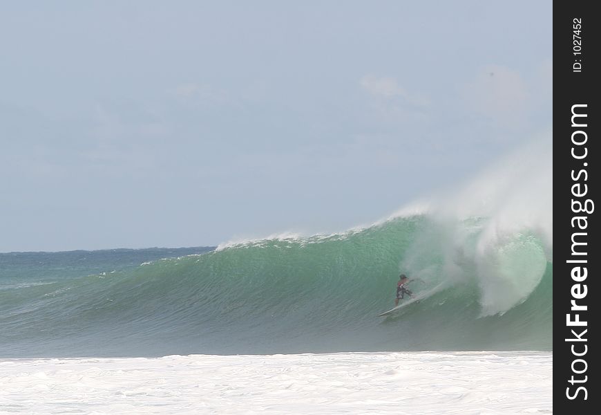 Surfing. Surfing