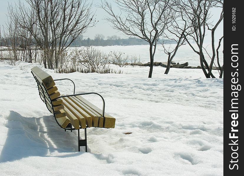 Bench In Winter