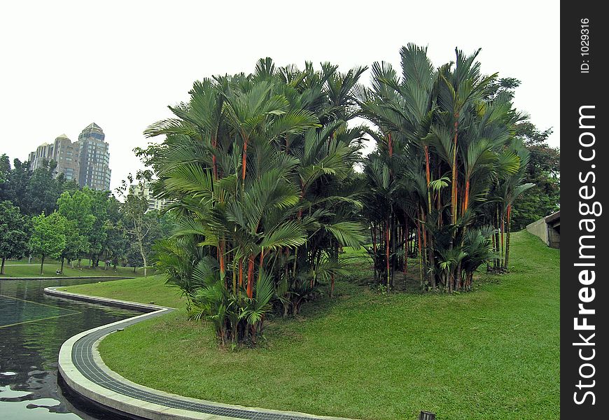 A landscape of a park in Kuala Lumpur City Center. A landscape of a park in Kuala Lumpur City Center