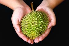 Durian Asian Fruits Series 03 Stock Images Durian Asian Fruits Series 03 Stock Images