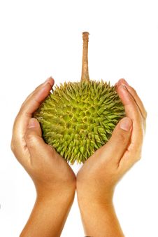 Durian Asian Fruits Series 03 Royalty Free Stock Image Durian Asian Fruits Series 03 Royalty Free Stock Image