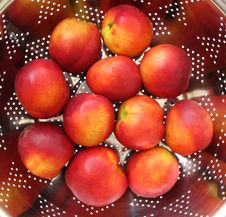 Nectarines Stock Image Nectarines Stock Image