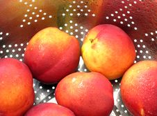 Nectarines Royalty Free Stock Photography Nectarines Royalty Free Stock Photography