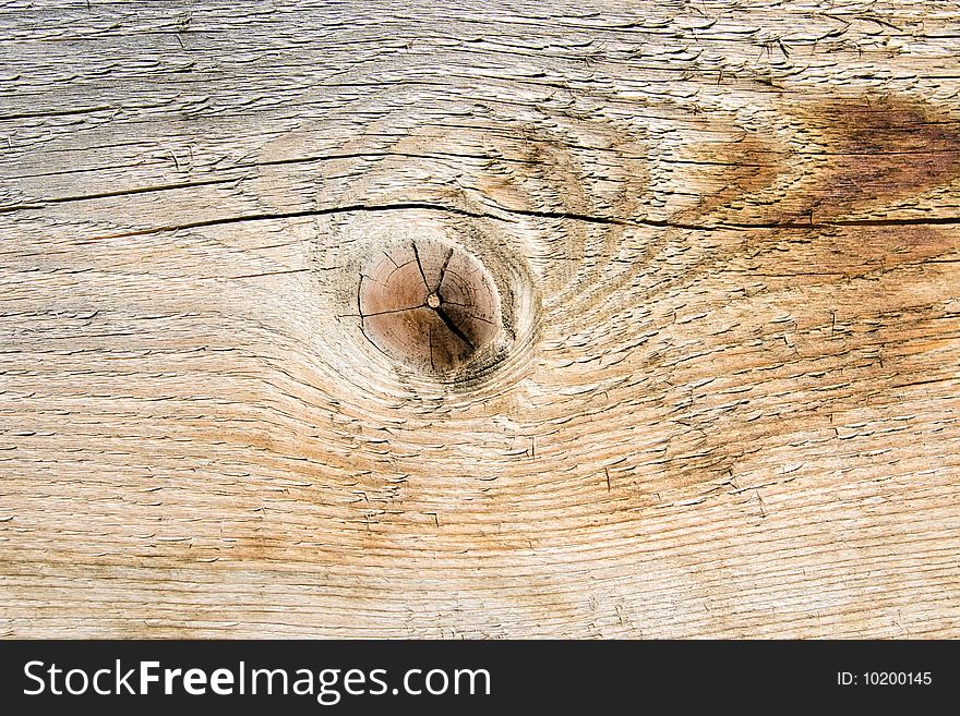 Knot Of A Dry Tree