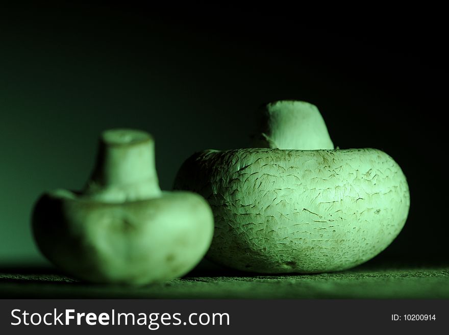 Close up with two white mushrooms isolated on wood. Close up with two white mushrooms isolated on wood