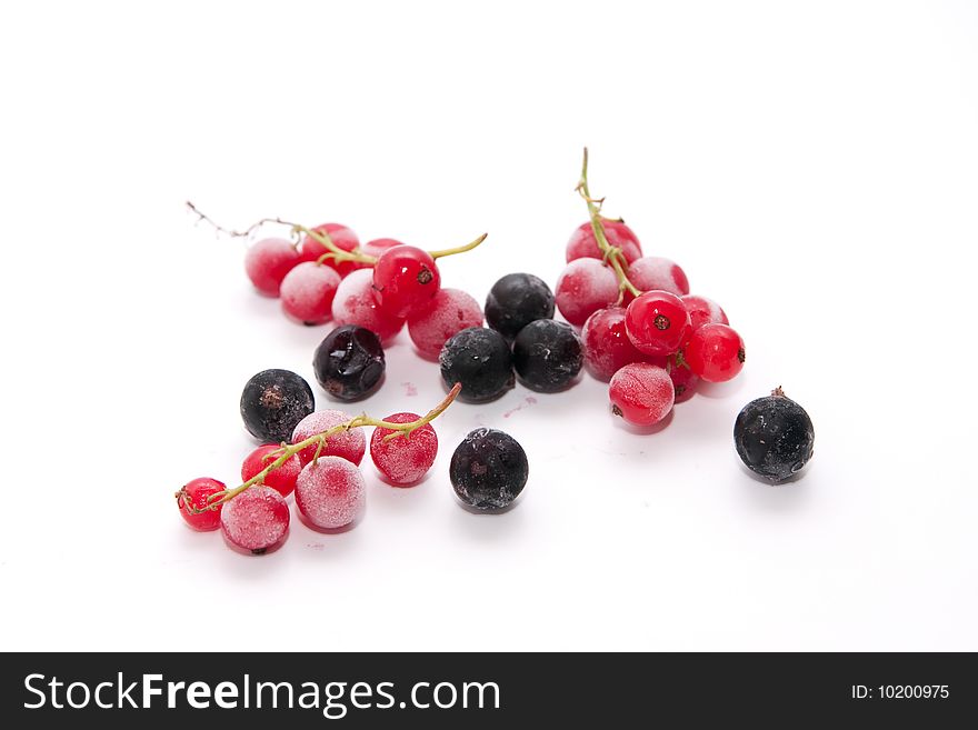 Frozen red and black currants on white