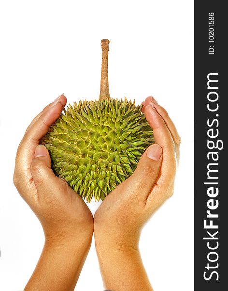 Hand holding Tropical Durian Fruit. Hand holding Tropical Durian Fruit