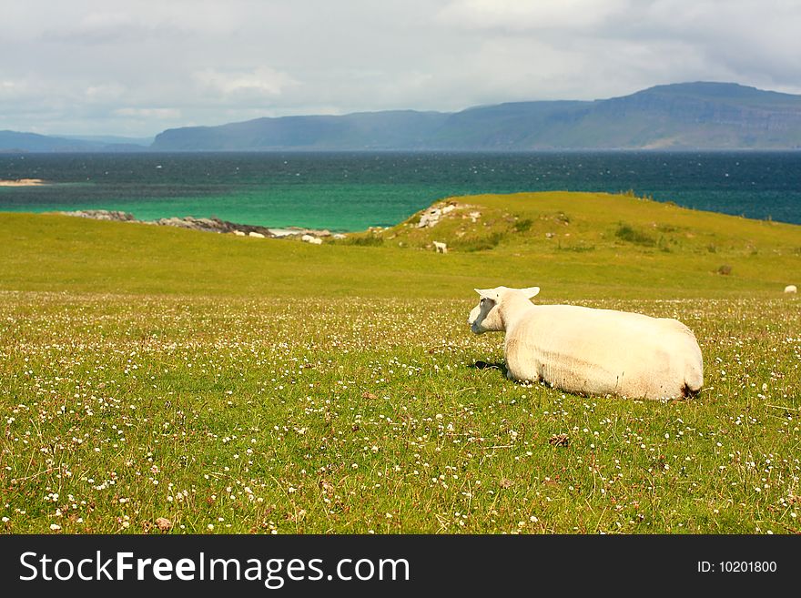 Iona, Scottish island