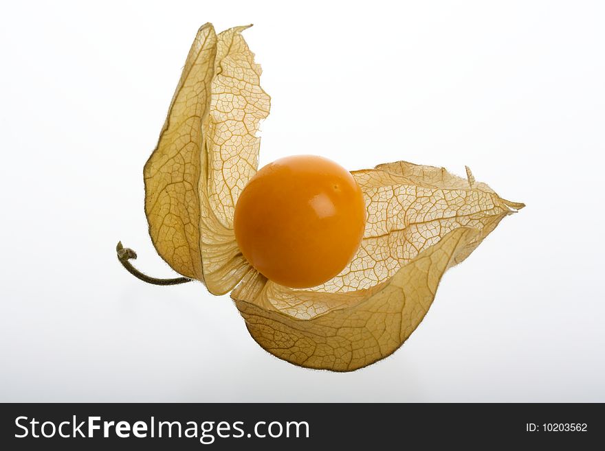 Physalis fruit on white background