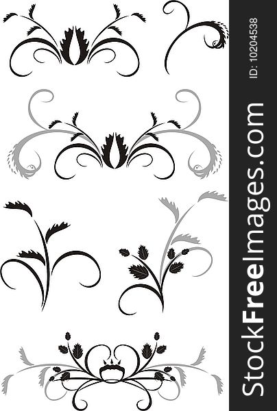 Set Of Floral Ornament For Design