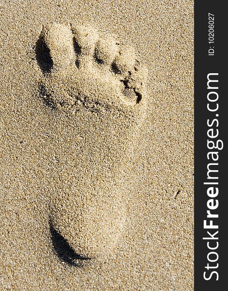 A footprint in the sea sand on a beach
