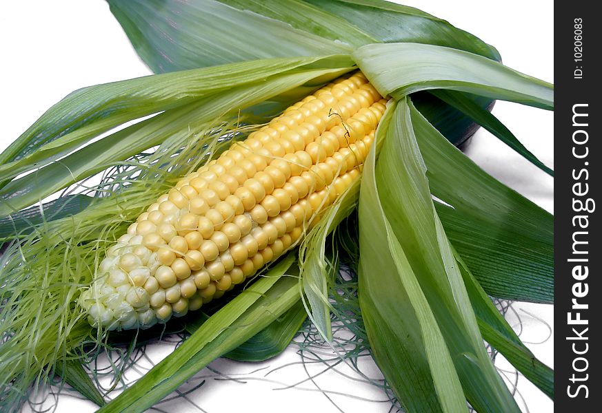 Corn isolated on white background - close up