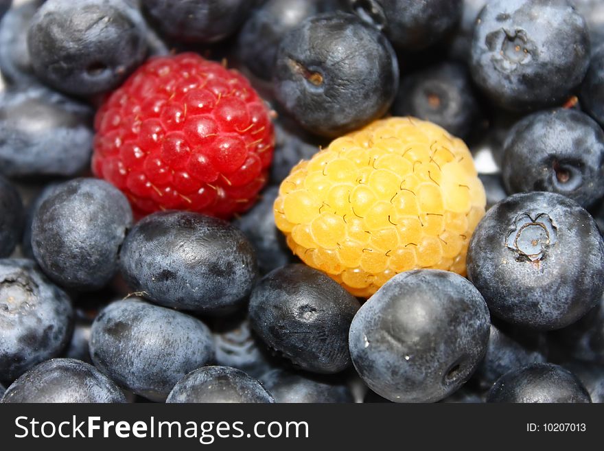 Blueberries with one red and one yellow berry, background