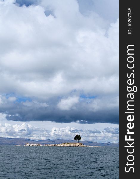 Lonely tree on an island on the lake Titicaca in Bolivia. Lonely tree on an island on the lake Titicaca in Bolivia