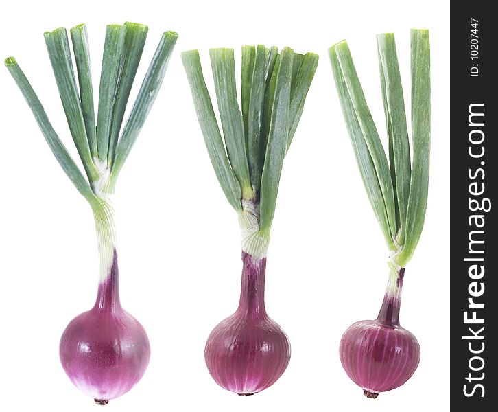 Set of Red onions on white background