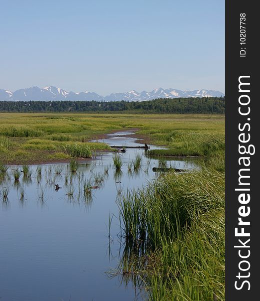 View of the Kenai Range from the town of Kenai, near Elk Meadow. View of the Kenai Range from the town of Kenai, near Elk Meadow.