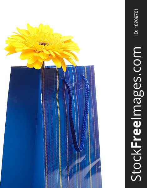 Paper bag for gifts with flower