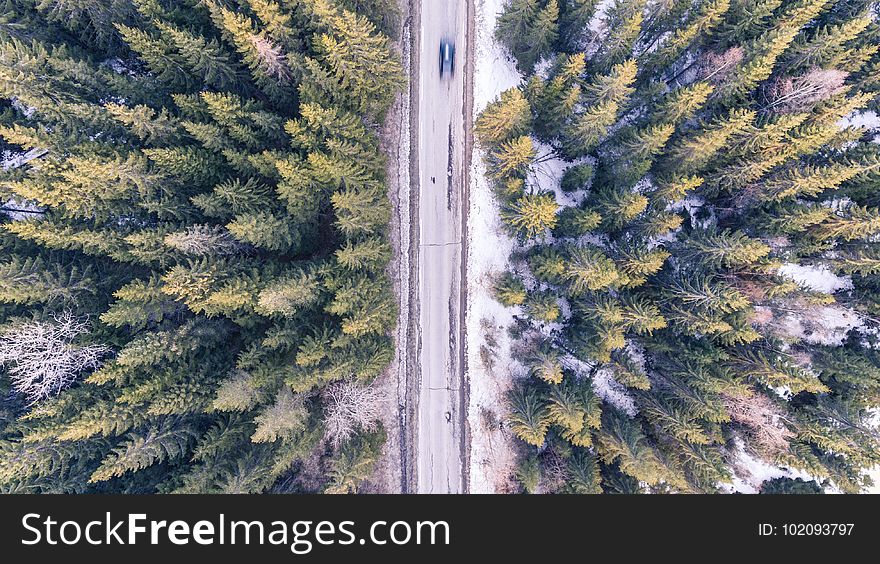 Aerial, Automobile, Bird&x27;s, Eye