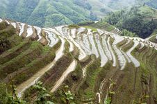 Terraced Rice Fields In Guilin, Longshan Stock Image