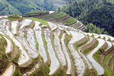 Terraced Rice Fields In Guilin, Longshan Stock Photography