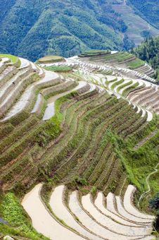 Terraced Rice Fields In Guilin, Longshan Royalty Free Stock Photo Terraced Rice Fields In Guilin, Longshan Royalty Free Stock Photo