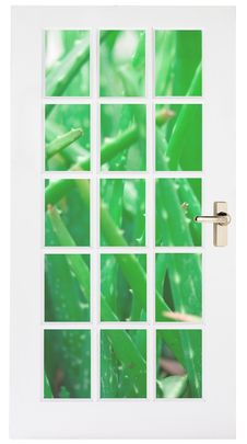 White Door With Aloe Grass Behind Stock Photography White Door With Aloe Grass Behind Stock Photography