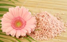 Pink Bath Salt And Pink Gerber. Stock Photos Pink Bath Salt And Pink Gerber. Stock Photos