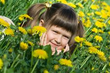 Little Cute Girl Is Lying On The Dandelion Meadow Royalty Free Stock Image