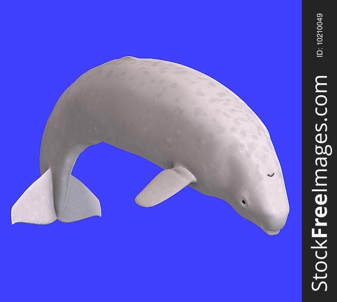 Whitle juvenilie beluga whale. 3D rendering with clipping path