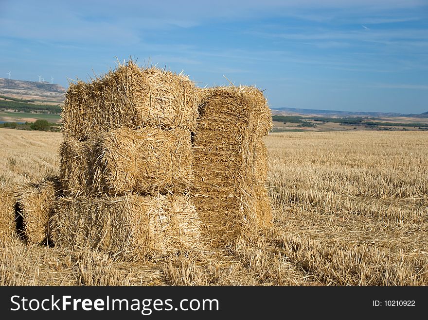 Summer rural landscape with hay
