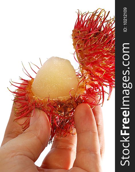 Hand Holding Tropical Asian Fruits - Rambutan. Hand Holding Tropical Asian Fruits - Rambutan