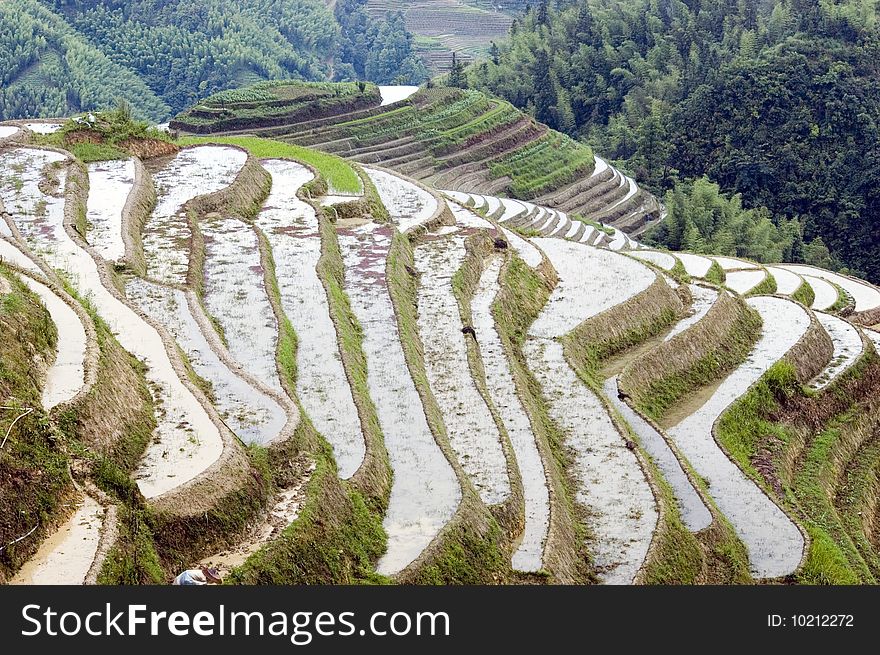 China, Guangxi province, Longshan village near Guilin. Famous terraced rice fileds covered with water. China, Guangxi province, Longshan village near Guilin. Famous terraced rice fileds covered with water.