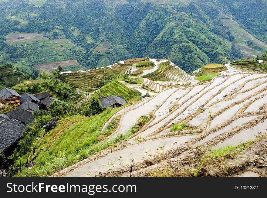 China, Guangxi province, Longshan village near Guilin. Famous terraced rice fileds covered with water. China, Guangxi province, Longshan village near Guilin. Famous terraced rice fileds covered with water.