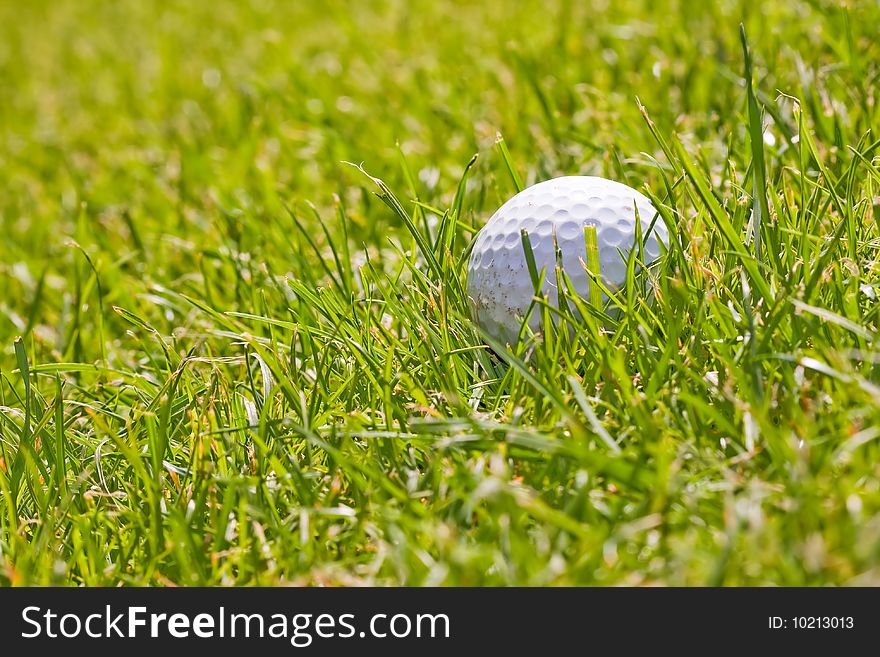 Golf ball on the green grass