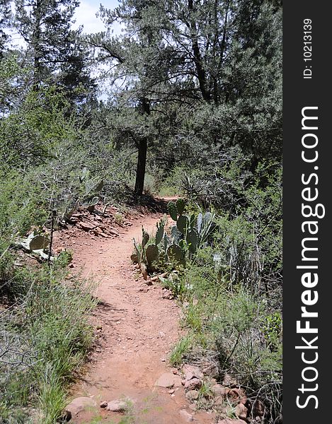 Hiking trail through red rock formations in Sedona Arizona. Hiking trail through red rock formations in Sedona Arizona