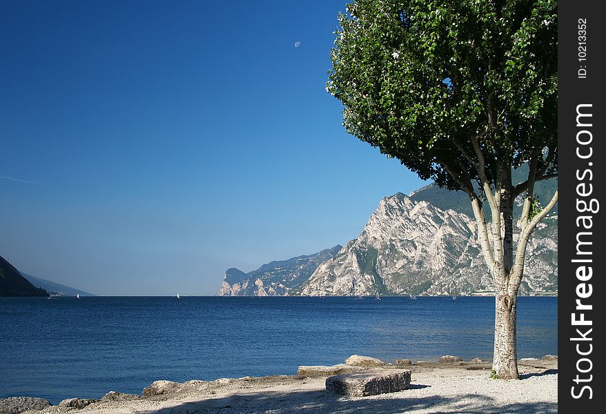 Scenery of Lake Garda with tree, Trentino, Italy. Scenery of Lake Garda with tree, Trentino, Italy