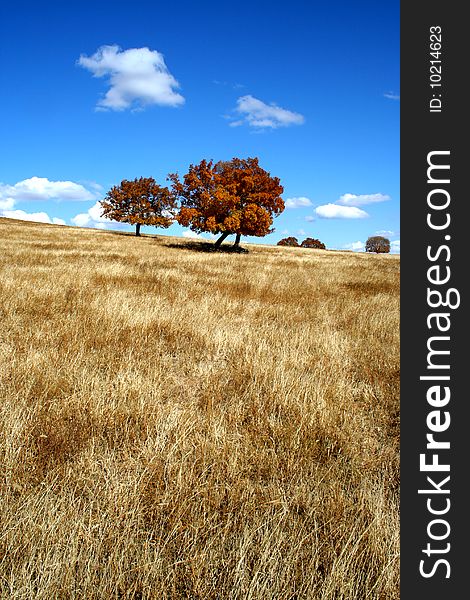 Light track on the vast grassland in autumn