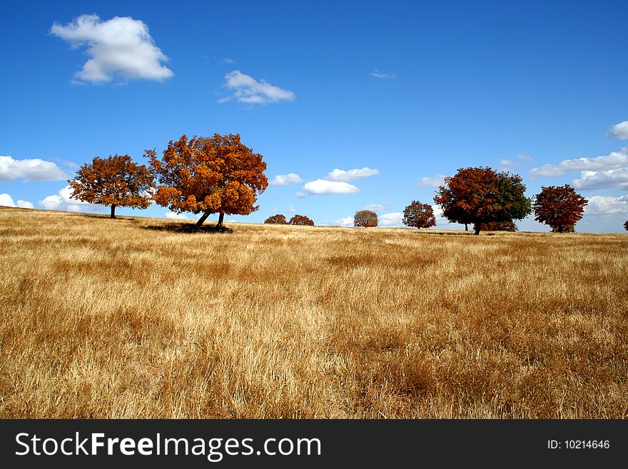 Light track on the vast grassland in autumn