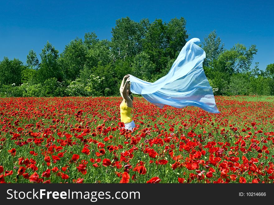 Beautiful young girl in red poppy field. Beautiful young girl in red poppy field.