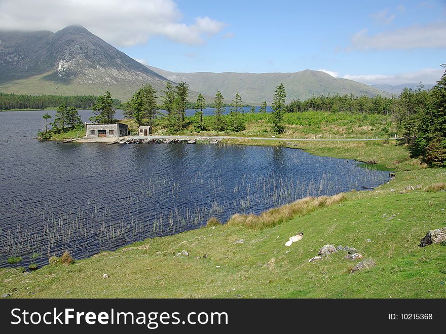 Landscape In Ireland