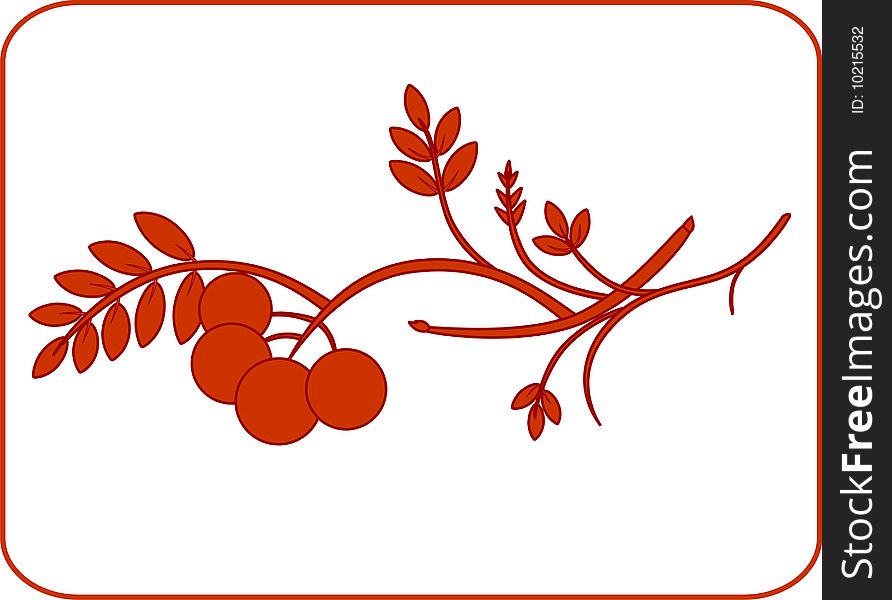 Vector illustration of a rowan twig wiht ashberries in orange color. Vector illustration of a rowan twig wiht ashberries in orange color