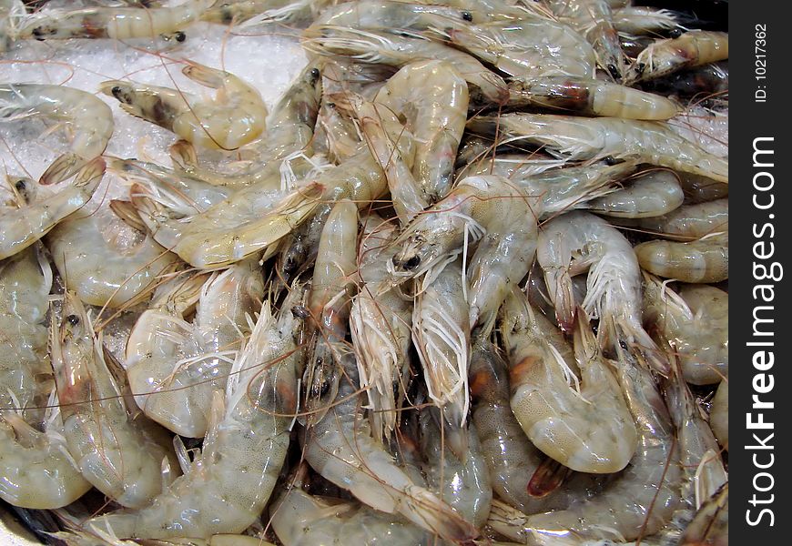 Fresh shrimps from the sea on the Greek market in Cyprus