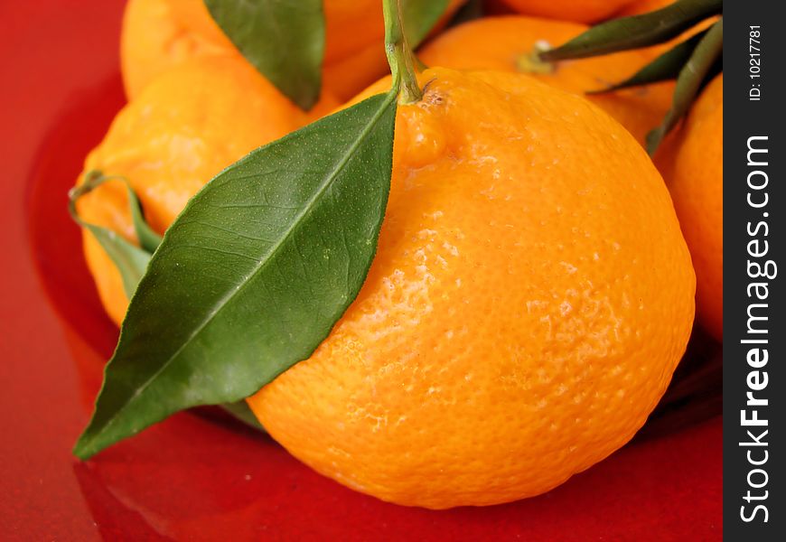 Fresh mandarin tangerina from the tree in Cyprus. Fresh mandarin tangerina from the tree in Cyprus