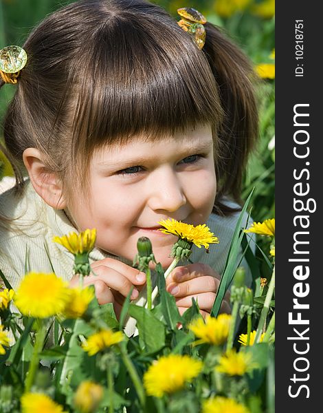 Little cool smiling girl is smelling at the dandelions on the flowering meadow. Little cool smiling girl is smelling at the dandelions on the flowering meadow